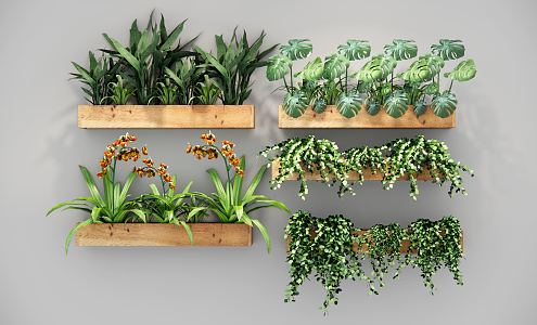 Modern potted plant green plant wall hanging plant wall 3d model