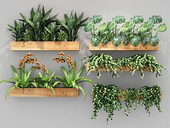 Modern potted plant green plant wall hanging plant wall 3d model