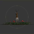 Deer Standing On Circular Area With Green Grass Red Flowers Against Gray Background