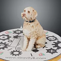 Dog Sitting On Circular Platform With Gear Patterns And GravityB Website 3d model
