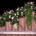 Garden Landscape Seat With Wooden Structure Pink Flowers Green Vines And Lush Plants