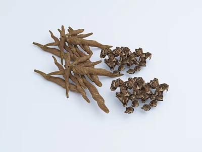 Dried Flowers And Plant Seeds Displayed On Light Background Surface 3d model