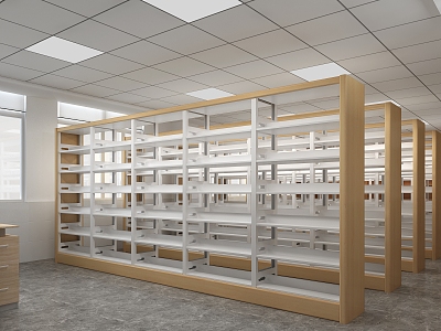 Modern Library 3d model