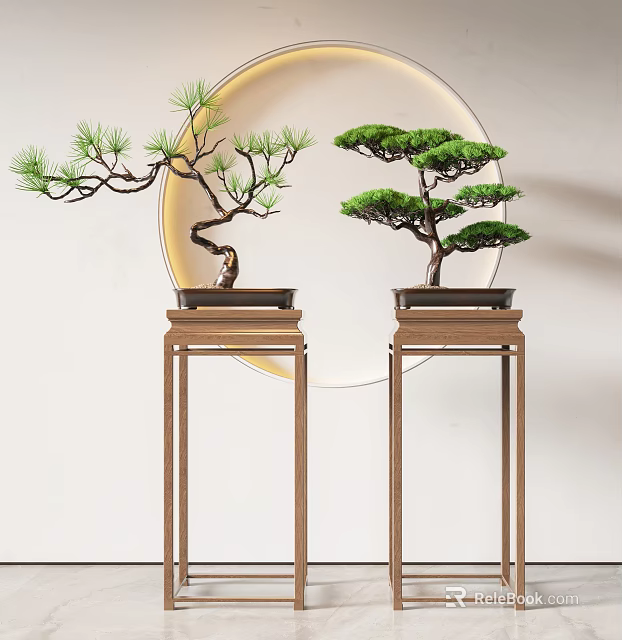 Elegant Bonsai Trees on Wooden Stands with Circular Background and Green Foliage 3d model 