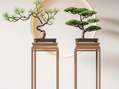 Elegant Bonsai Trees on Wooden Stands with Circular Background and Green Foliage 3d model