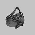 Natural History Collection of Bird Skulls with Detailed Anatomical Features