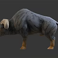Detailed Gray Brown Buffalo Sculpture With Large Horns Standing On Black Background