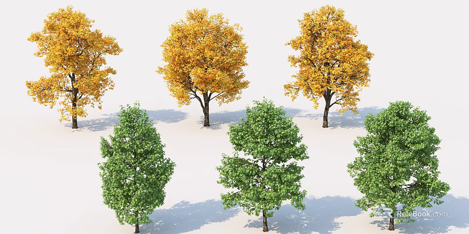 Different Types of Trees with Yellow and Green Foliage for Landscaping Design 3d model 