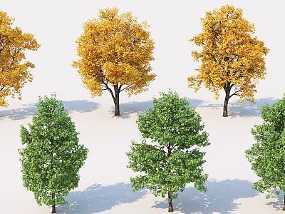 Different Types of Trees with Yellow and Green Foliage for Landscaping Design 3d model