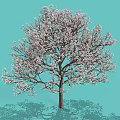 Vibrant Shrub With Pink Blossoms Against Light Blue Background And Shadow