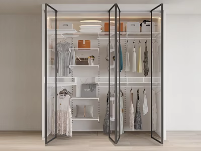 Modern Wardrobe Interior With Glass Doors Hanging Clothes Bags Drawers And Shelves 3d model
