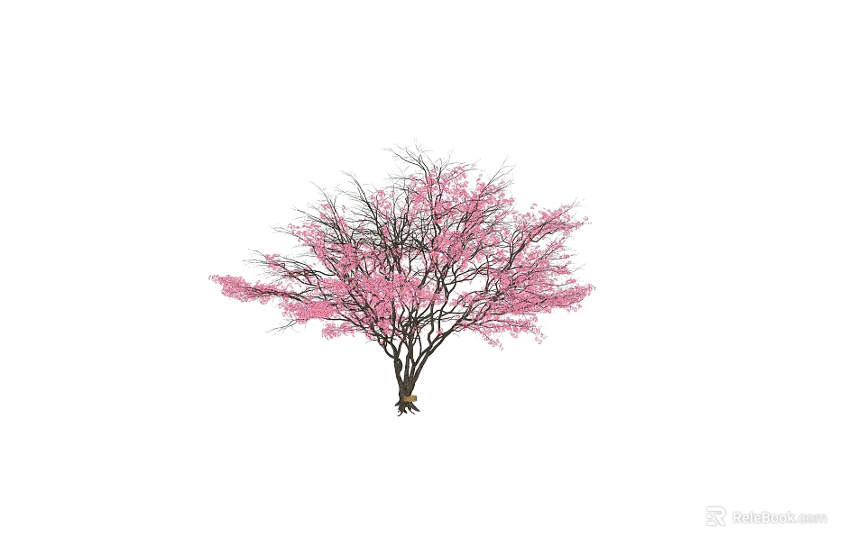 Graceful Arbor Tree with Pink Blossoms and Elegant Branches for Garden Landscape Design 3d model 