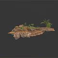 Modern Rock Garden Design With Natural Stones And Various Green Plants