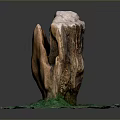 Natural Green Grass Plant Growing Around Weathered Wooden Stump On Circular Base