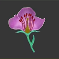 Blooming Vibrant Purple Flower with Pink Stamens Green Stem and Fresh Leaves