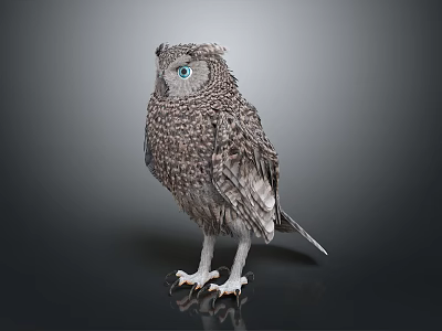 Realistic Gray Plumage Owl with Blue Eyes White Claws Standing on Dark Background 3d model