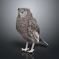 Realistic Gray Plumage Owl with Blue Eyes White Claws Standing on Dark Background