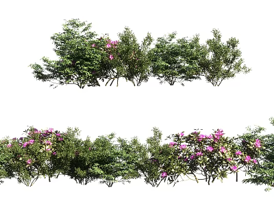 Green Leafy Shrubs With Pink Flowers In Row For Garden Landscape Decoration 3d model