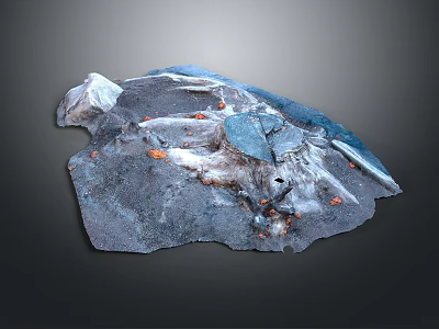 Succulent Plant Growing On Rocky Surface With Blue And Orange Accents 3d model