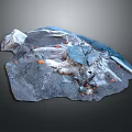 Succulent Plant Growing On Rocky Surface With Blue And Orange Accents