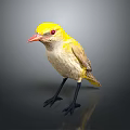 Small Bird With Yellow Head White Body Red Beak And Black Legs On Dark Background