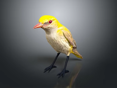 Peregrine Falcon Sparrow Pigeon Wingbird Pearl Bird Hummingbird Flamingbird Bird Bird Animal 3d model