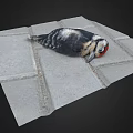 Black and white bird with red head lying on gray tiled ground 3d model