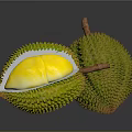 Fresh Durian Fruit One Whole and Half Cut Open Showing Yellow Flesh with Spiky Shell