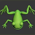Adorable Green Frog Character With Biological Features And Detailed Design Illustration