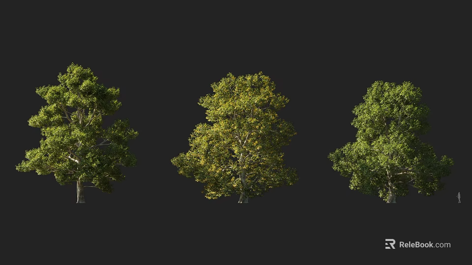 Three Isolated Arbor Trees With Lush Green Foliage Against Dark Background 3d model 