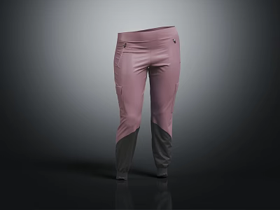 Pink And Gray Color Blocked Casual Pants With Functional Pockets And Slim Fit 3d model