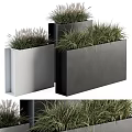 Modern Bonsai Potted Plants in Rectangular Black Silver Planters with Green Foliage 3d model