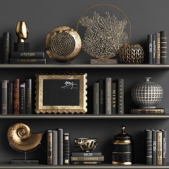 Light Luxury Bookshelf Black Gold Decoration Kit Combination 3d model