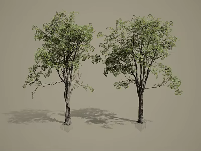 Two Trees With Green Leaves And Tree Trunks Against Gray Background 3d model