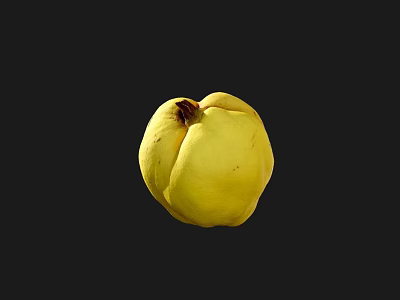 Fresh Ripe Whole Yellow Quince Fruit Isolated On Black Background 3d model