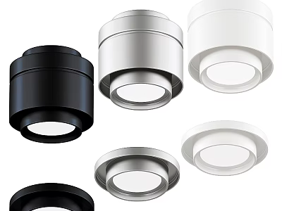 Sleek Modern Downlights And Spotlights With Black Silver White Color Options 3d model
