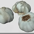 Fresh Whole Garlic Bulbs Showing White And Purple Skin Texture For Cooking