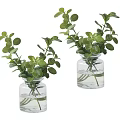 Two Green Potted Plants in Clear Glass Vases with Water and Round Leaves