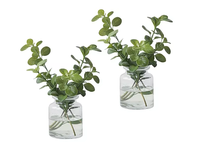 Two Green Potted Plants in Clear Glass Vases with Water and Round Leaves 3d model