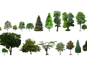 Modern Trees 3d model