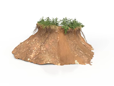 Modern Landscape Mound Featuring Green Plants Exposed Roots and Brown Soil 3d model