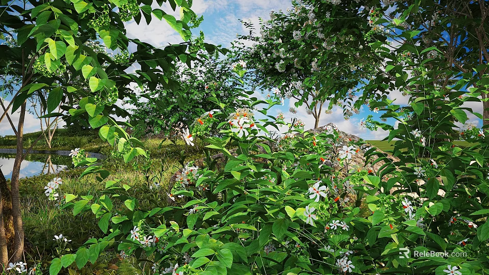 Lush Green Leaves And Small White Flowers In Outdoor Natural Garden Setting 3d model 