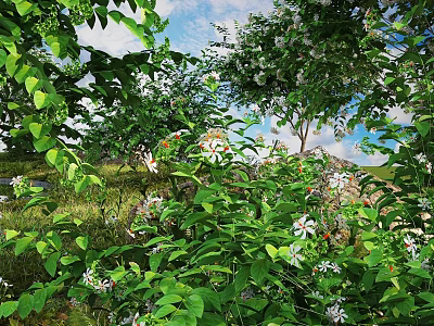 Lush Green Leaves And Small White Flowers In Outdoor Natural Garden Setting 3d model