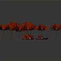 Vibrant Red Flowers Arrangement on Gray Background with Reflections