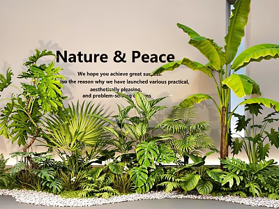 Nature and Peace Themed Bonsai Potted Plants With Tropical Greenery Large Leaves and Pebble Ground 3d model