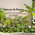 Nature and Peace Themed Bonsai Potted Plants With Tropical Greenery Large Leaves and Pebble Ground