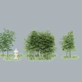 Various Bamboo Clusters With Lush Green Grass And White Decorative Ornament