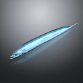 Clear View of Slender Blue Aquatic Fish on Dark Background with Reflective Surface