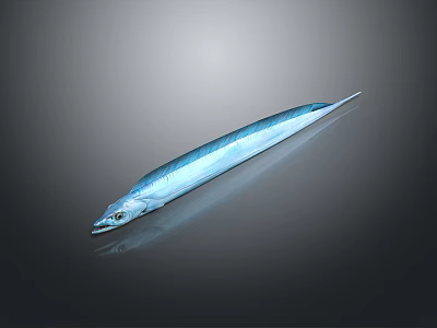 Clear View of Slender Blue Aquatic Fish on Dark Background with Reflective Surface 3d model
