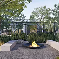 Lush Courtyard Garden With Burning Fire Pit Green Plants Cacti Trees Stone Pathways And Lawn